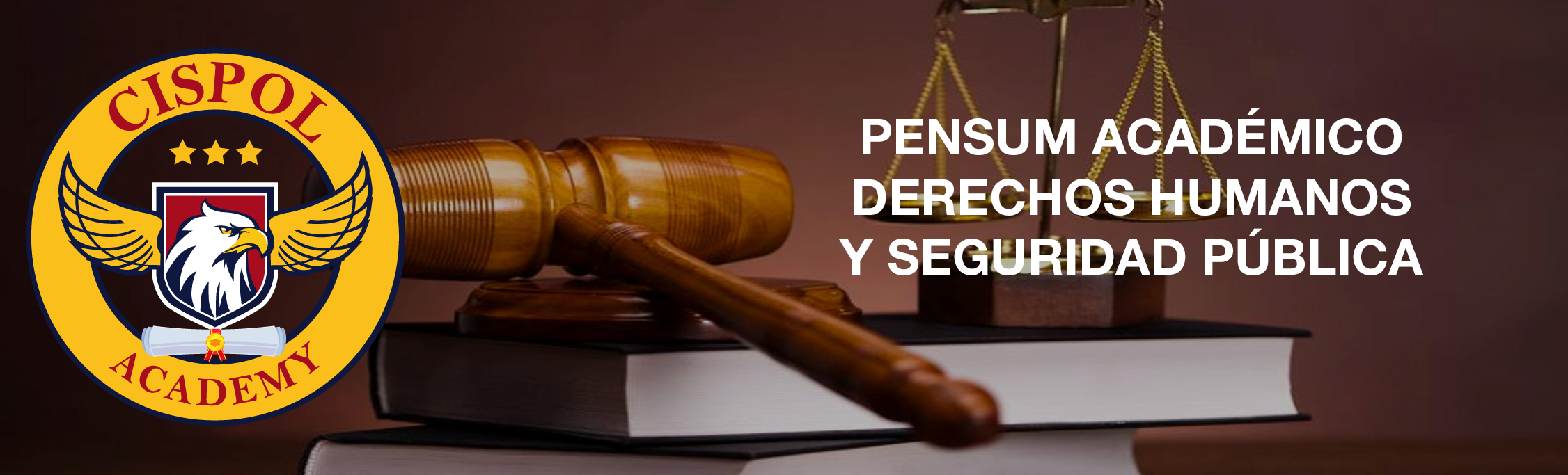 Diplomado en Derechos Humanos y Seguridad Pública